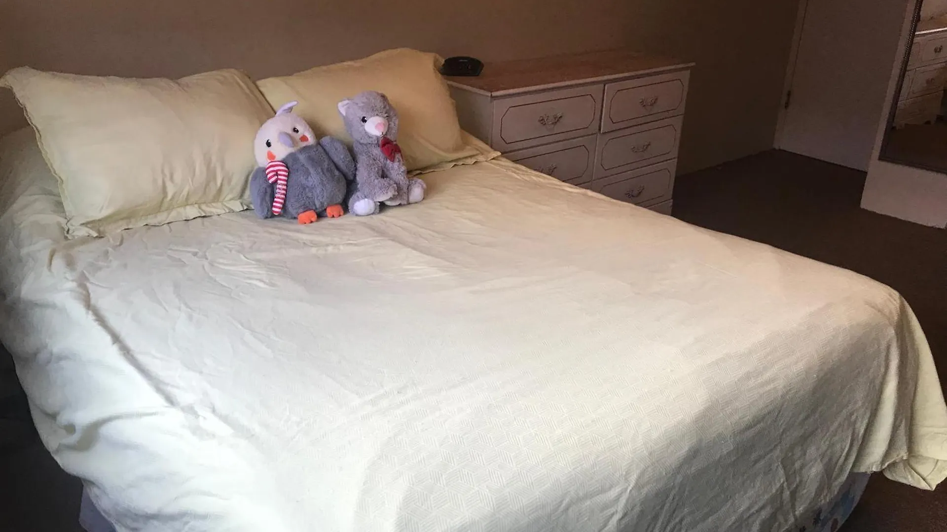 Great Location In The Mount Pleasant Neighbourhood Apartment Vancouver